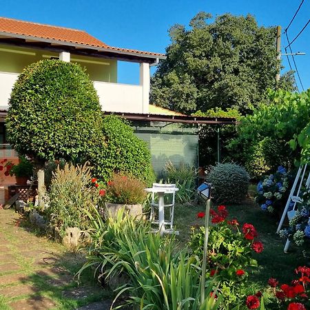 Apartment Melanie Skrbčići Kültér fotó