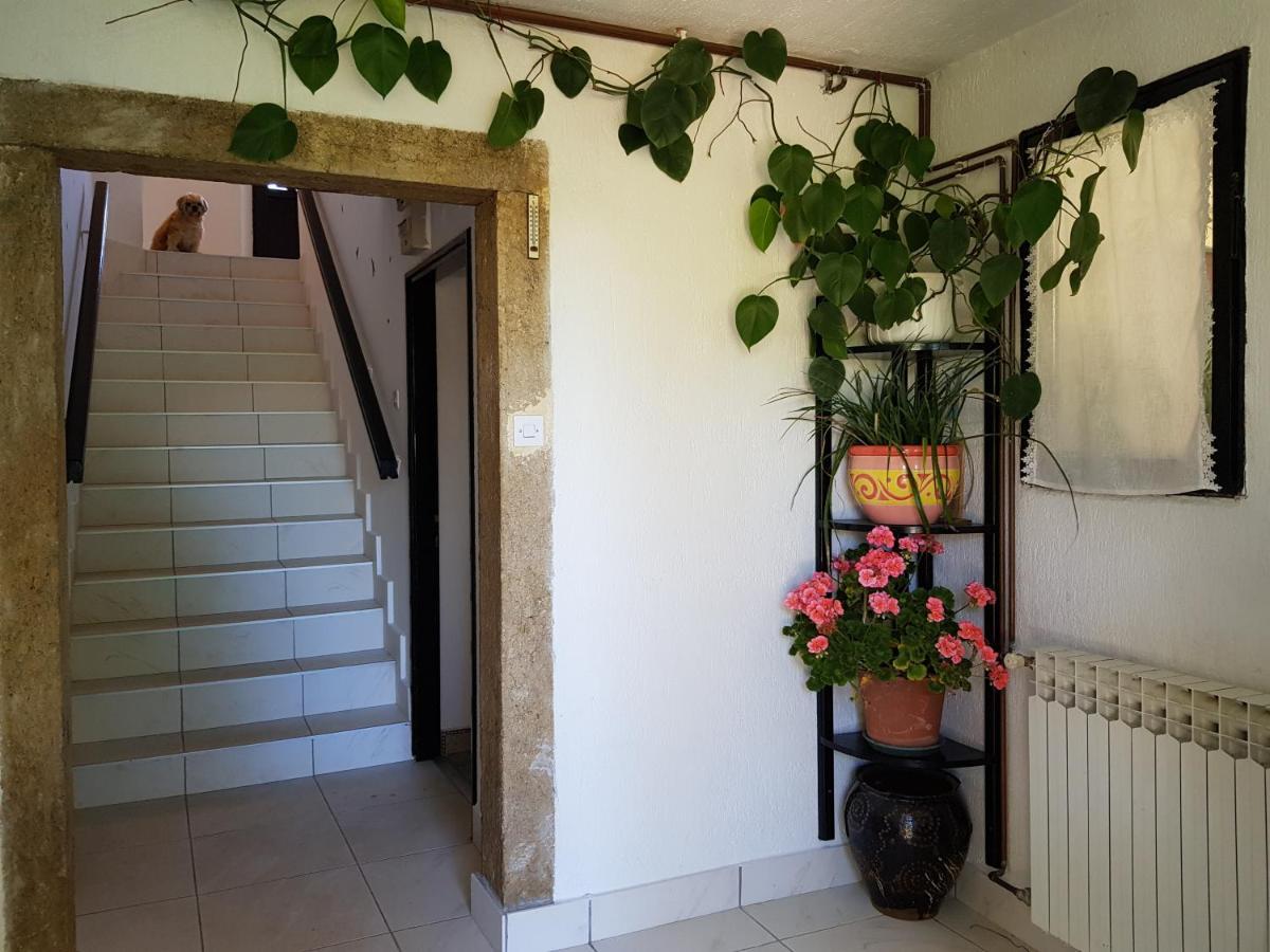 Apartment Melanie Skrbčići Kültér fotó